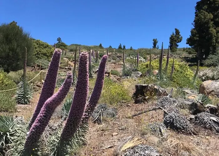 Caboquitos