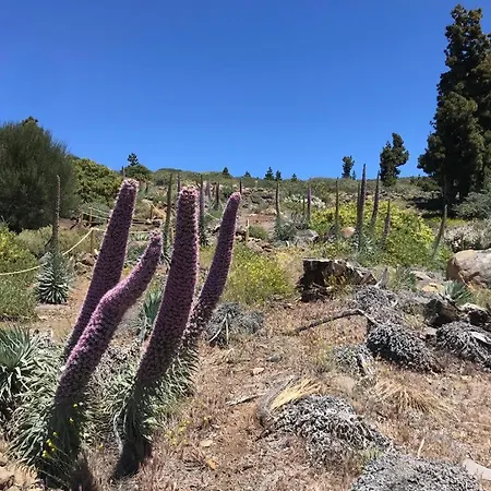Caboquitos